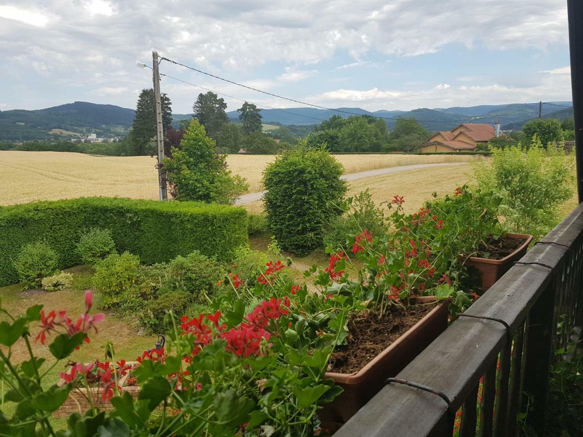 Le Clos Des Aulnes Anould Esterno foto